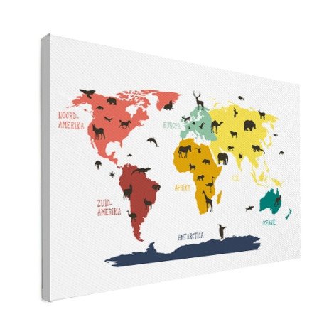 Animaux couleurs toile